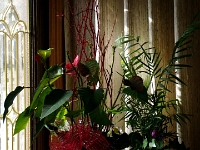 34322RoCrLe - Floral arrangement in the sun, on the bookshelf.JPG